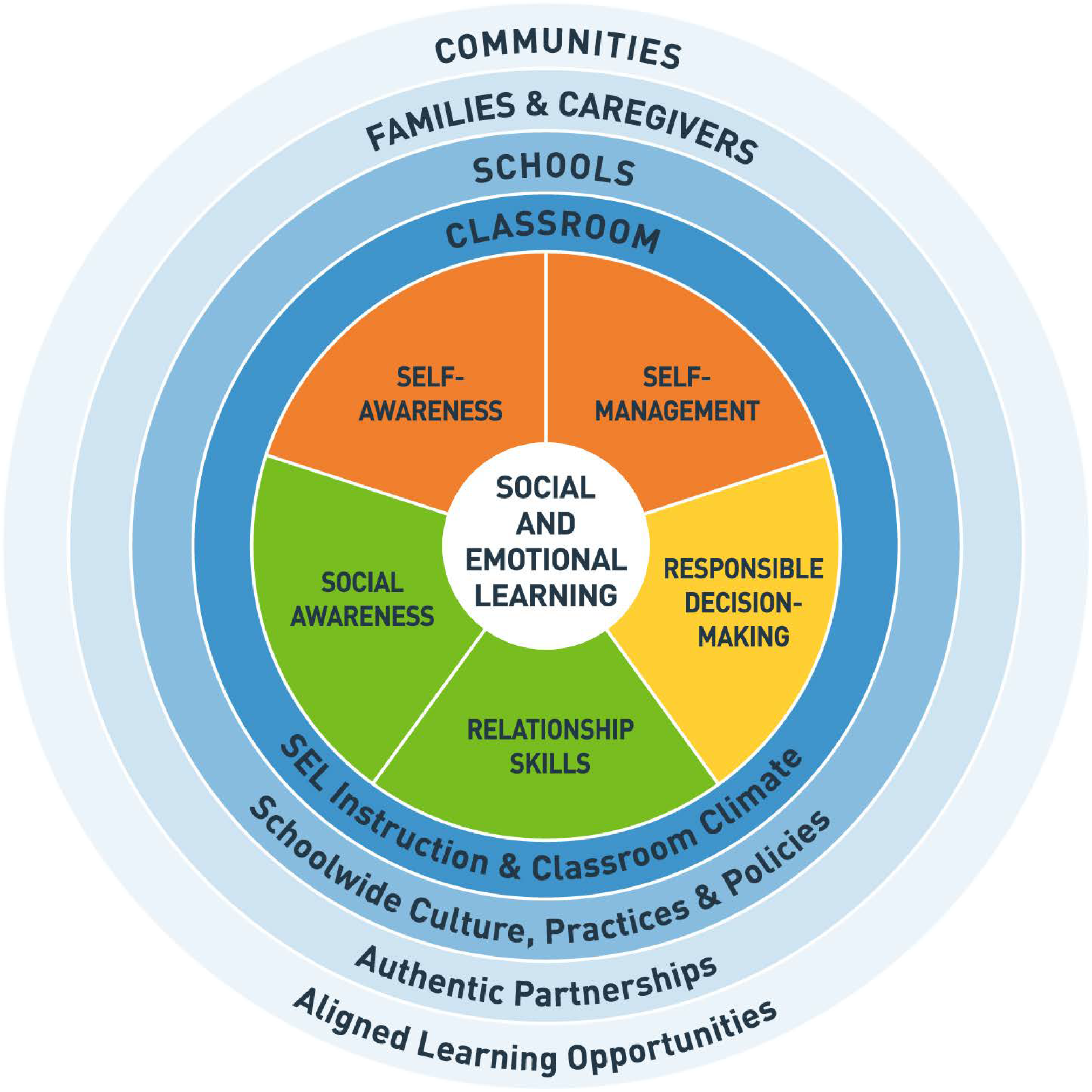 CASEL-SEL-Framework-Wheel-no copyrite on image.png